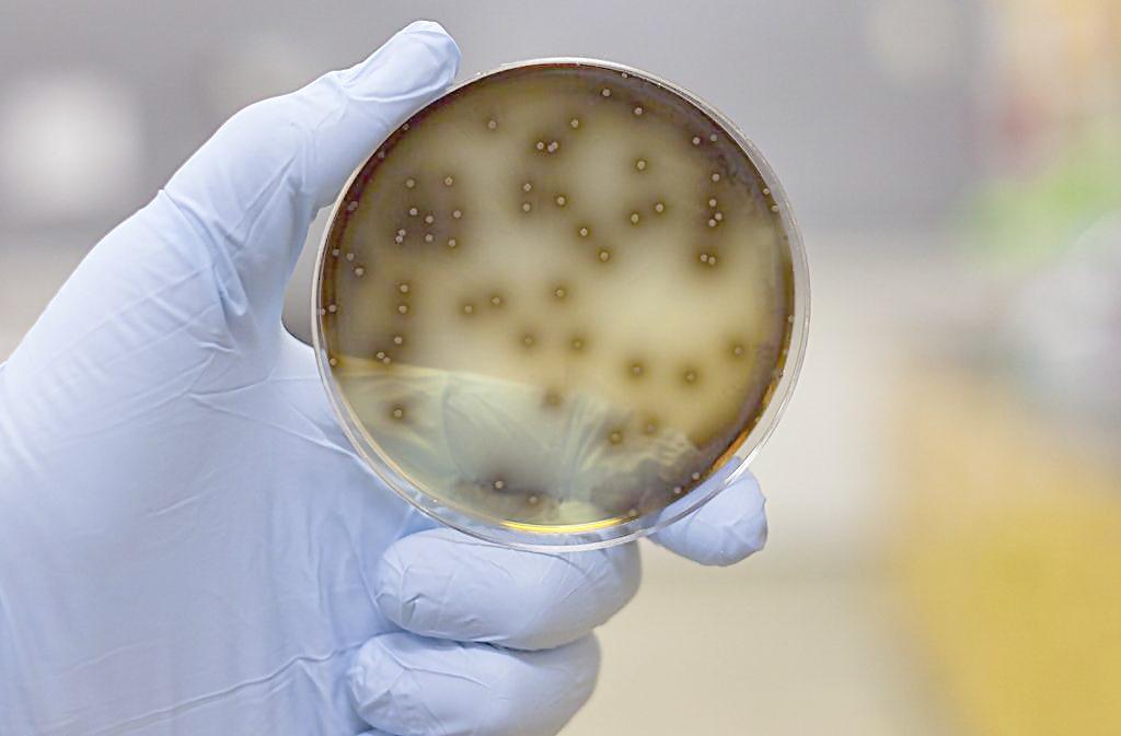 植物細胞實驗室設計方案