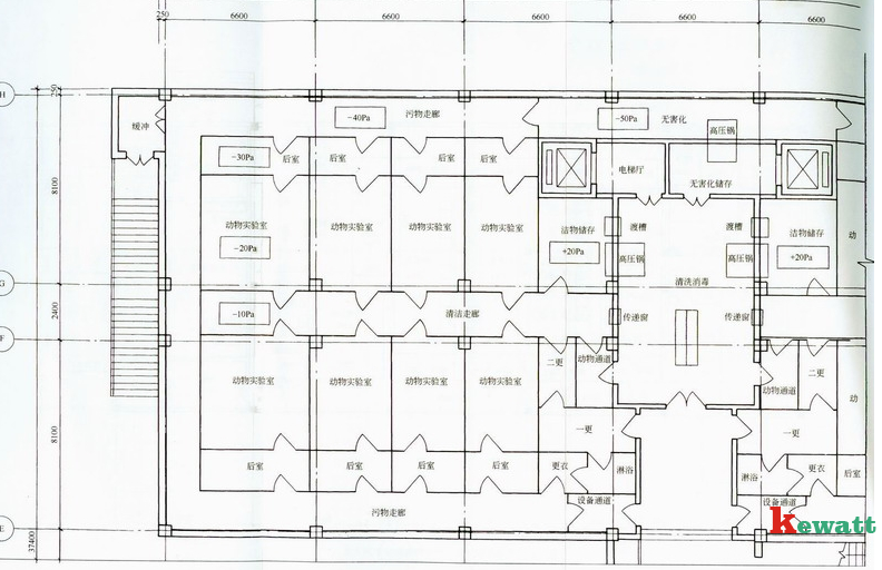 動物細胞實驗室設計