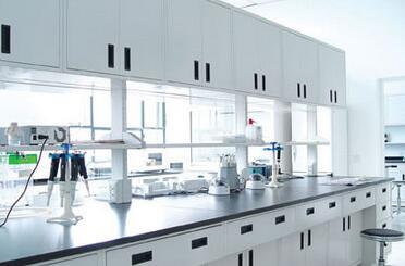 實(shí)驗(yàn)室設(shè)計公司